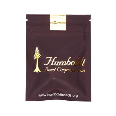 Pineapple Skunk > Humboldt Seed Organization | Semillas feminizadas  |  Híbrido